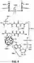 Fig. 10 - NOOTROPIC FULLERENES AND USE
