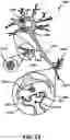Fig. 14 - NOOTROPIC FULLERENES AND USE