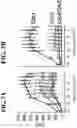 Fig. 09 - RECOMBINANT AAV-CRUMBS HOMOLOGUE COMPOSITION AND METHODS FOR TREATING LCA-8 AND PROGRESSIVE RP