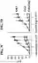 Fig. 10 - RECOMBINANT AAV-CRUMBS HOMOLOGUE COMPOSITION AND METHODS FOR TREATING LCA-8 AND PROGRESSIVE RP