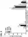 Fig. 11 - RECOMBINANT AAV-CRUMBS HOMOLOGUE COMPOSITION AND METHODS FOR TREATING LCA-8 AND PROGRESSIVE RP