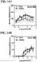 Fig. 15 - RECOMBINANT AAV-CRUMBS HOMOLOGUE COMPOSITION AND METHODS FOR TREATING LCA-8 AND PROGRESSIVE RP