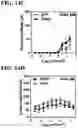 Fig. 16 - RECOMBINANT AAV-CRUMBS HOMOLOGUE COMPOSITION AND METHODS FOR TREATING LCA-8 AND PROGRESSIVE RP