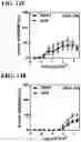 Fig. 17 - RECOMBINANT AAV-CRUMBS HOMOLOGUE COMPOSITION AND METHODS FOR TREATING LCA-8 AND PROGRESSIVE RP