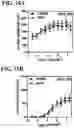 Fig. 19 - RECOMBINANT AAV-CRUMBS HOMOLOGUE COMPOSITION AND METHODS FOR TREATING LCA-8 AND PROGRESSIVE RP