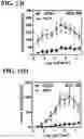 Fig. 20 - RECOMBINANT AAV-CRUMBS HOMOLOGUE COMPOSITION AND METHODS FOR TREATING LCA-8 AND PROGRESSIVE RP
