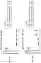 Fig. 05 - COMPOSITIONS USEFUL FOR TREATMENT OF POMPE DISEASE