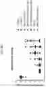 Fig. 08 - COMPOSITIONS USEFUL FOR TREATMENT OF POMPE DISEASE