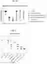 Fig. 10 - COMPOSITIONS USEFUL FOR TREATMENT OF POMPE DISEASE