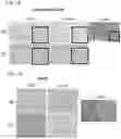 Fig. 14 - COMPOSITIONS USEFUL FOR TREATMENT OF POMPE DISEASE