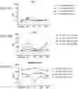 Fig. 19 - COMPOSITIONS USEFUL FOR TREATMENT OF POMPE DISEASE