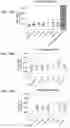 Fig. 27 - COMPOSITIONS USEFUL FOR TREATMENT OF POMPE DISEASE