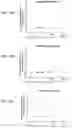 Fig. 31 - COMPOSITIONS USEFUL FOR TREATMENT OF POMPE DISEASE
