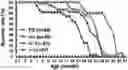 Fig. 01 - HIGH EFFICIENCY GENE DELIVERY SYSTEM