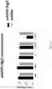 Fig. 06 - HIGH EFFICIENCY GENE DELIVERY SYSTEM