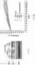Fig. 07 - HIGH EFFICIENCY GENE DELIVERY SYSTEM