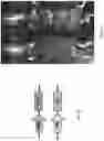 Fig. 08 - HIGH EFFICIENCY GENE DELIVERY SYSTEM