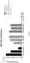 Fig. 14 - HIGH EFFICIENCY GENE DELIVERY SYSTEM