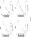 Fig. 23 - HIGH EFFICIENCY GENE DELIVERY SYSTEM