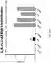 Fig. 26 - HIGH EFFICIENCY GENE DELIVERY SYSTEM