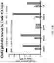 Fig. 27 - HIGH EFFICIENCY GENE DELIVERY SYSTEM