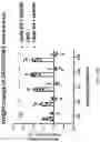 Fig. 28 - HIGH EFFICIENCY GENE DELIVERY SYSTEM