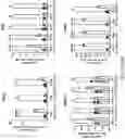 Fig. 37 - HIGH EFFICIENCY GENE DELIVERY SYSTEM