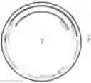 Fig. 03 - COMPOSITIONS AND METHODS FOR TREATING LAMINOPATHIES