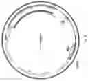 Fig. 05 - COMPOSITIONS AND METHODS FOR TREATING LAMINOPATHIES