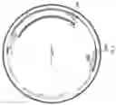Fig. 06 - COMPOSITIONS AND METHODS FOR TREATING LAMINOPATHIES