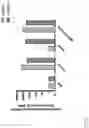 Fig. 17 - COMPOSITIONS AND METHODS FOR TREATING LAMINOPATHIES