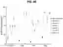 Fig. 09 - A NOVEL CHROMATIN-OPENING ELEMENT FOR STABLE LONG TERM GENE EXPRESSION