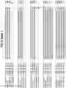 Fig. 14 - A NOVEL CHROMATIN-OPENING ELEMENT FOR STABLE LONG TERM GENE EXPRESSION