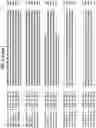 Fig. 15 - A NOVEL CHROMATIN-OPENING ELEMENT FOR STABLE LONG TERM GENE EXPRESSION