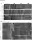 Fig. 12 - METHOD OF PREPARING NANOPLATEFORM-BASED DIAGNOSTIC AGENT FOR SELECTIVELY STAINING OF INFLAMMATORY ABNORMAL TISSUE OR TUMOR TISSUE