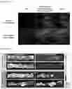 Fig. 13 - METHOD OF PREPARING NANOPLATEFORM-BASED DIAGNOSTIC AGENT FOR SELECTIVELY STAINING OF INFLAMMATORY ABNORMAL TISSUE OR TUMOR TISSUE