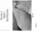 Fig. 44 - METHOD FOR ENHANCING TUMOR GROWTH