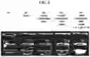 Fig. 03 - Methods for making ultrasound contrast agents