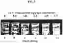 Fig. 04 - Methods for making ultrasound contrast agents