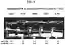 Fig. 05 - Methods for making ultrasound contrast agents