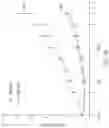 Fig. 02 - INDUCING FAVORABLE EFFECTS ON TUMOR MICROENVIRONMENT VIA ADMINISTRATION OF NANOPARTICLE COMPOSITIONS