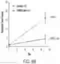Fig. 34 - INDUCING FAVORABLE EFFECTS ON TUMOR MICROENVIRONMENT VIA ADMINISTRATION OF NANOPARTICLE COMPOSITIONS