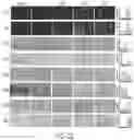 Fig. 80 - INDUCING FAVORABLE EFFECTS ON TUMOR MICROENVIRONMENT VIA ADMINISTRATION OF NANOPARTICLE COMPOSITIONS