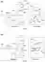 Fig. 04 - Medical devices and compoments thereof