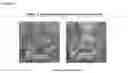 Fig. 05 - FRAGRANCE DISPENSING EMANATING SUBSTRATE AND METHOD