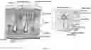Fig. 02 - CELL SUSPENSION AND USE THEREOF