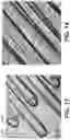 Fig. 11 - MICROPOST ARRAY APPARATUS AND COMPOSITE BIOLOGICAL SCAFFOLD
