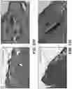 Fig. 23 - MICROPOST ARRAY APPARATUS AND COMPOSITE BIOLOGICAL SCAFFOLD