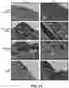 Fig. 24 - MICROPOST ARRAY APPARATUS AND COMPOSITE BIOLOGICAL SCAFFOLD
