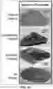 Fig. 25 - MICROPOST ARRAY APPARATUS AND COMPOSITE BIOLOGICAL SCAFFOLD